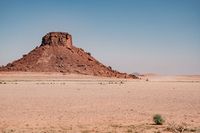 &iquest;Por qu&eacute; el Rally Dakar solo va a Arabia Saud&iacute; por el momento?