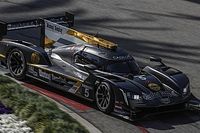 Powt&oacute;rka Portugalczyk&oacute;w