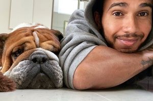 Dura pérdida para Hamilton: muere su perro y amigo, Roscoe