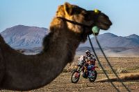 Canet roza la victoria con una tablet en el Dakar: "A&uacute;n no soy consciente"
