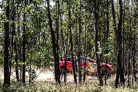 Loeb liderem, wypadek Goczała