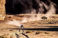 Alonso se abona al 4º puesto en el Rally Ula Neom