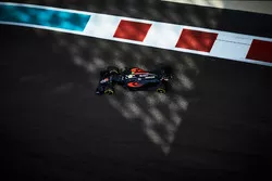 Jenson Button, McLaren