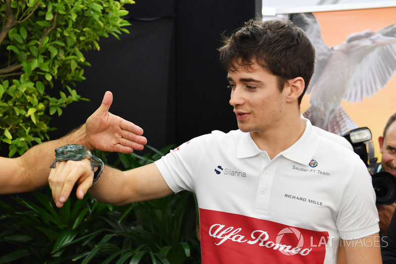 Charles Leclerc, Sauber con un rospo