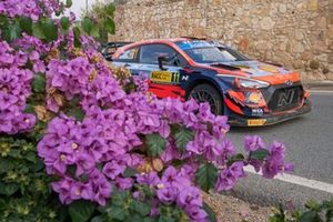 Thierry Neuville, Martijn Wydaeghe, Hyundai Motorsport Hyundai i20 Coupe WRC