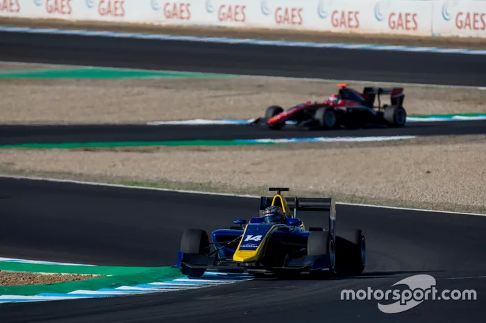 Dan Ticktum, DAMS