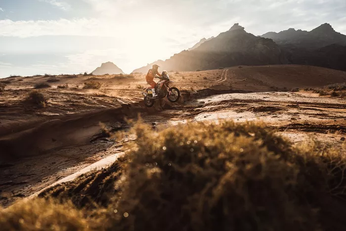 #7 Monster Energy Honda Team 2022: Pablo Quintanilla