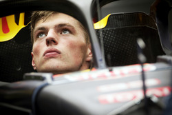 Max Verstappen, Red Bull Racing RB12, Halo kokpit ile