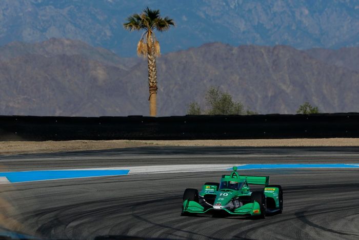 Alex Palou, Chip Ganassi Racing Honda