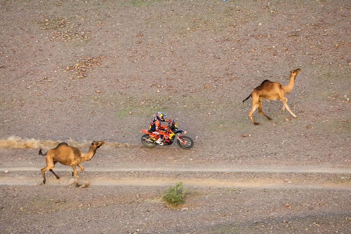 #1 Red Bull KTM Factory Racing KTM: Daniel Sanders