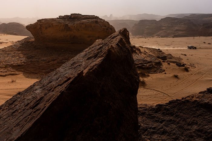 № 226 Ford M-Sport Ford: Маттиас Эксстрем, Эмиль Бергквист