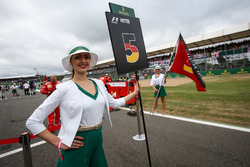 Chica de la parrilla