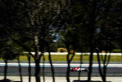 Marcus Ericsson, Sauber C37