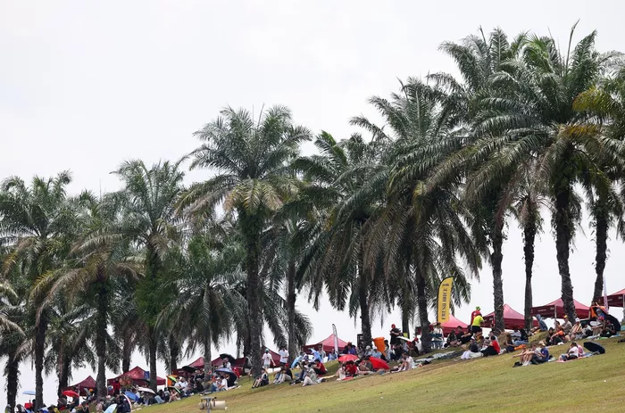 Fans and palm trees