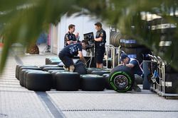 Red Bull Racing y los neumáticos Pirelli