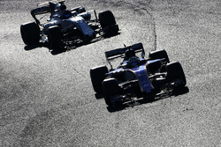 Маркус Ерікссон, Sauber C36