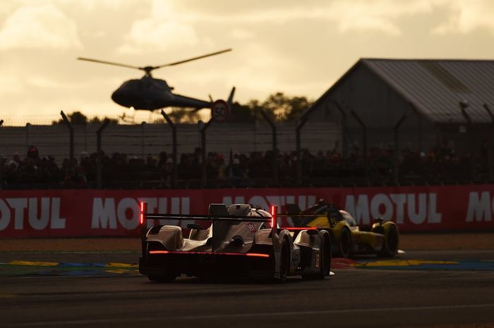 #12 Hertz Team Jota Porsche 963: William Stevens, Norman Nato, Callum Ilott