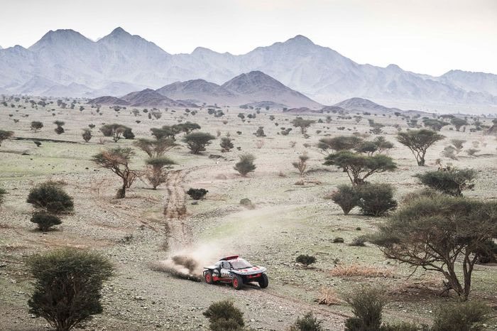 #207 Team Audi Sport Audi: Carlos Sainz Sr, Lucas Cruz