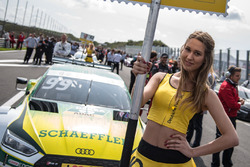 Gridgirl, Mike Rockenfeller, Audi Sport Team Phoenix, Audi RS 5 DTM