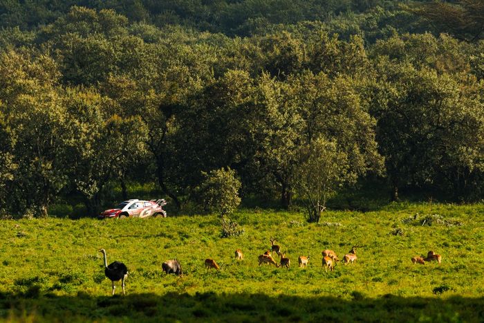 Такамото Кацута, Аарон Джонстон, Toyota Gazoo Racing WRT Toyota GR Yaris Rally1