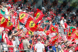 Ferrari-fans en vlaggen