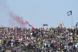 Fans