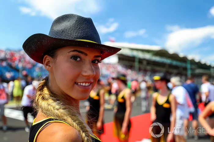 O GP da Hungria foi o 11º da temporada de 2017 e último antes das férias de agosto da F1.