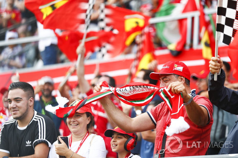 Tifosi