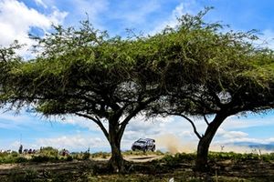Jourdan Serderidis, Frédéric Miclotte, M-Sport Ford World Rally Team Ford Puma Rally1
