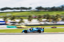 #25 Algarve Pro Racing, Ligier JSP2 Nissan: Andrea Roda, Matt McMurry, Andrea Pizzitola