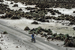 #6 Yamaha Official Rally Team: Adrien van Beveren