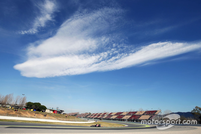 Max Verstappen, Scuderia Toro Rosso STR11