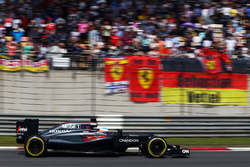 Fernando Alonso, McLaren MP4-31