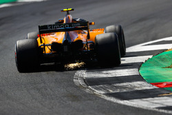 Stoffel Vandoorne, McLaren MCL33