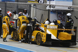 #29 Racing Team Nederland Dallara P217 Gibson: РУбенс Баррікелло, Ян Ламмерс, Фріц ван Ерд