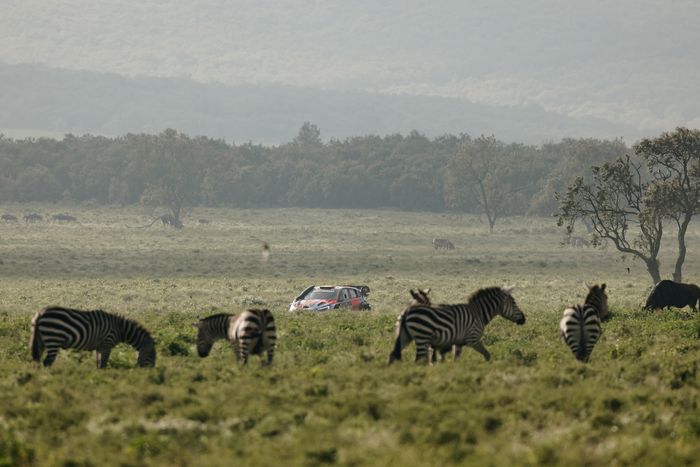 Thierry Neuville, Martijn Wydaeghe, Hyundai World Rally Team Hyundai i20 N Rally1