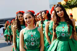 De Grid Girls