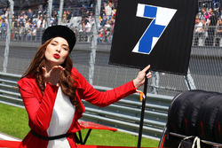 Grid girl