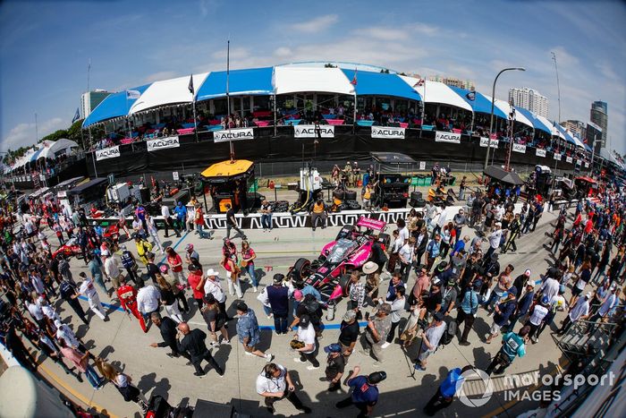 Helio Castroneves, Meyer Shank Racing Honda, fan walk