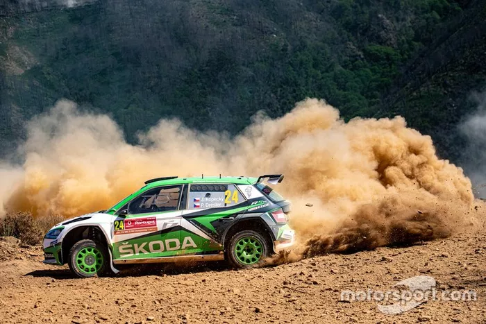 Jan Kopecky, Pavel Dresler, koda Motorsport