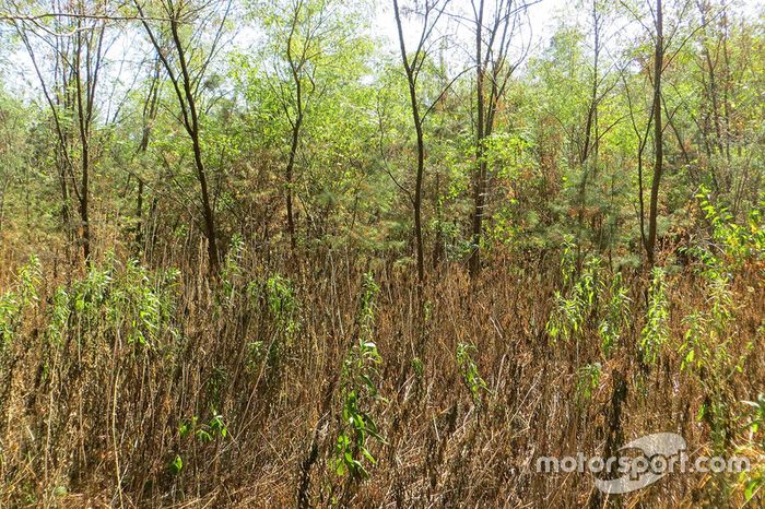 El antiguo anillo de Hockenheim