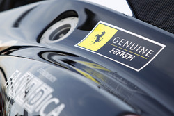 Ferrari detail