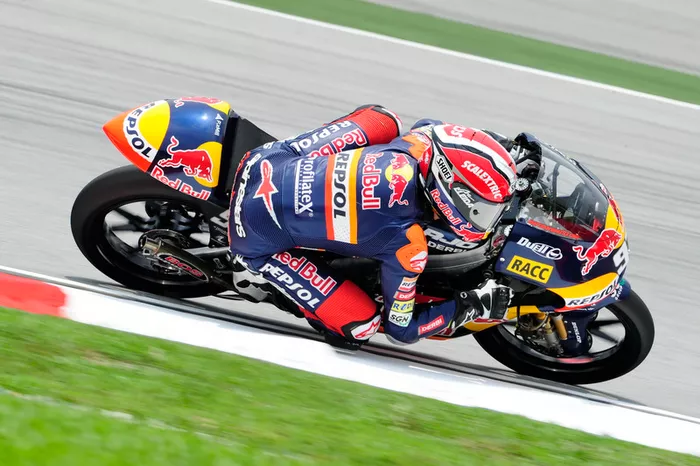 8. GP de Malasia 2010 - Sepang