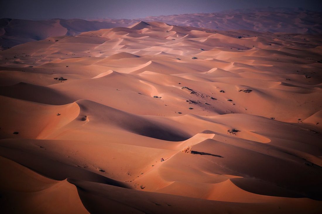 #2 Red Bull KTM Factory: Toby Price