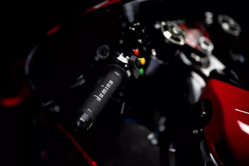 Ducati Desmosedici GP24
