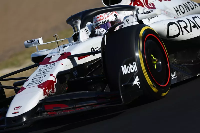 Max Verstappen, Red Bull Racing