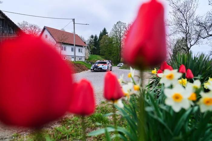 Thierry Neuville, Martijn Wydaeghe, Hyundai World Rally Team Hyundai i20 N Rally1