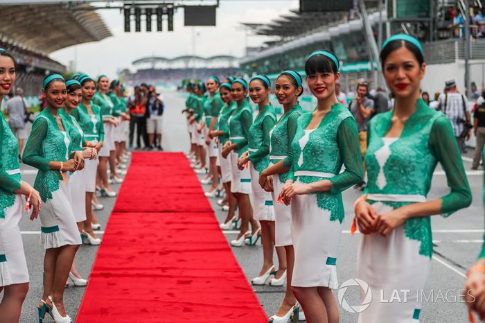 Chicas de la parrilla