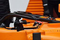 Stoffel Vandoorne, McLaren MCL33