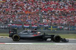 Fernando Alonso, McLaren MP4-31